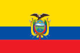 REPUBBLICA DELL'ECUADOR - ELEZIONI DEL CONSIGLIO PER LA PARTECIPAZIONE DEI CITTADINI E CONTROLLO SOCIALE (CPCCS) E CONSULTAZIONE POPOLARE E REFERENDUM